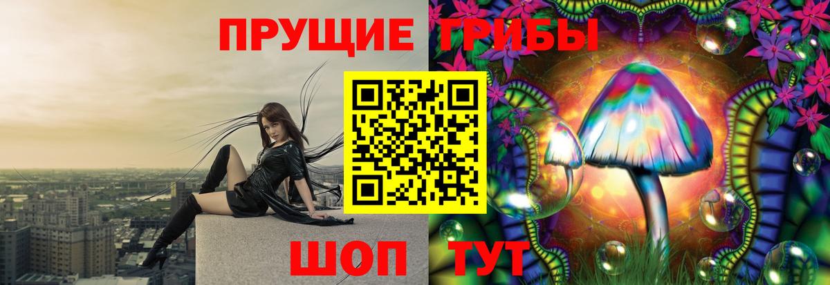 Псилоцибиновые грибы мицелий Домодедово