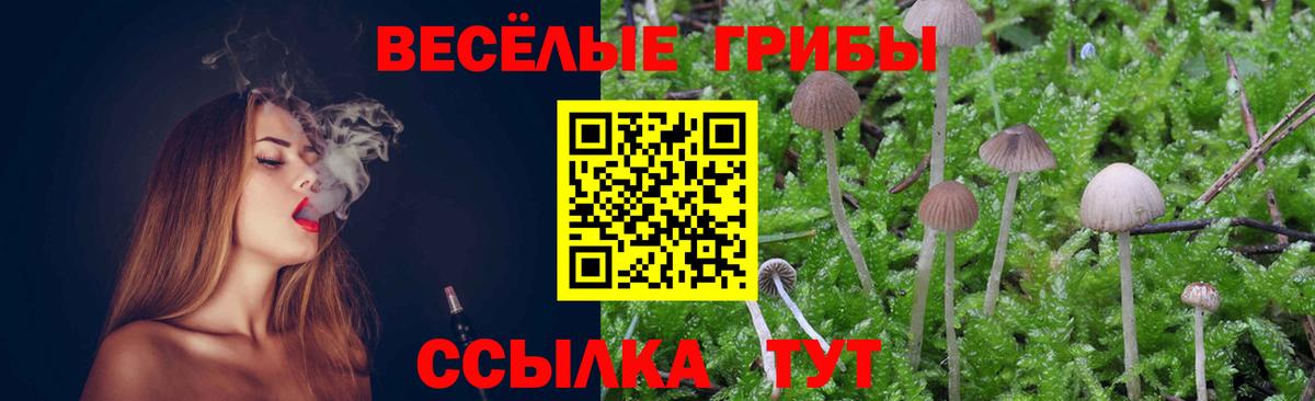 Галлюциногенные грибы Psilocybine cubensis  Вход с VPN  Домодедово 